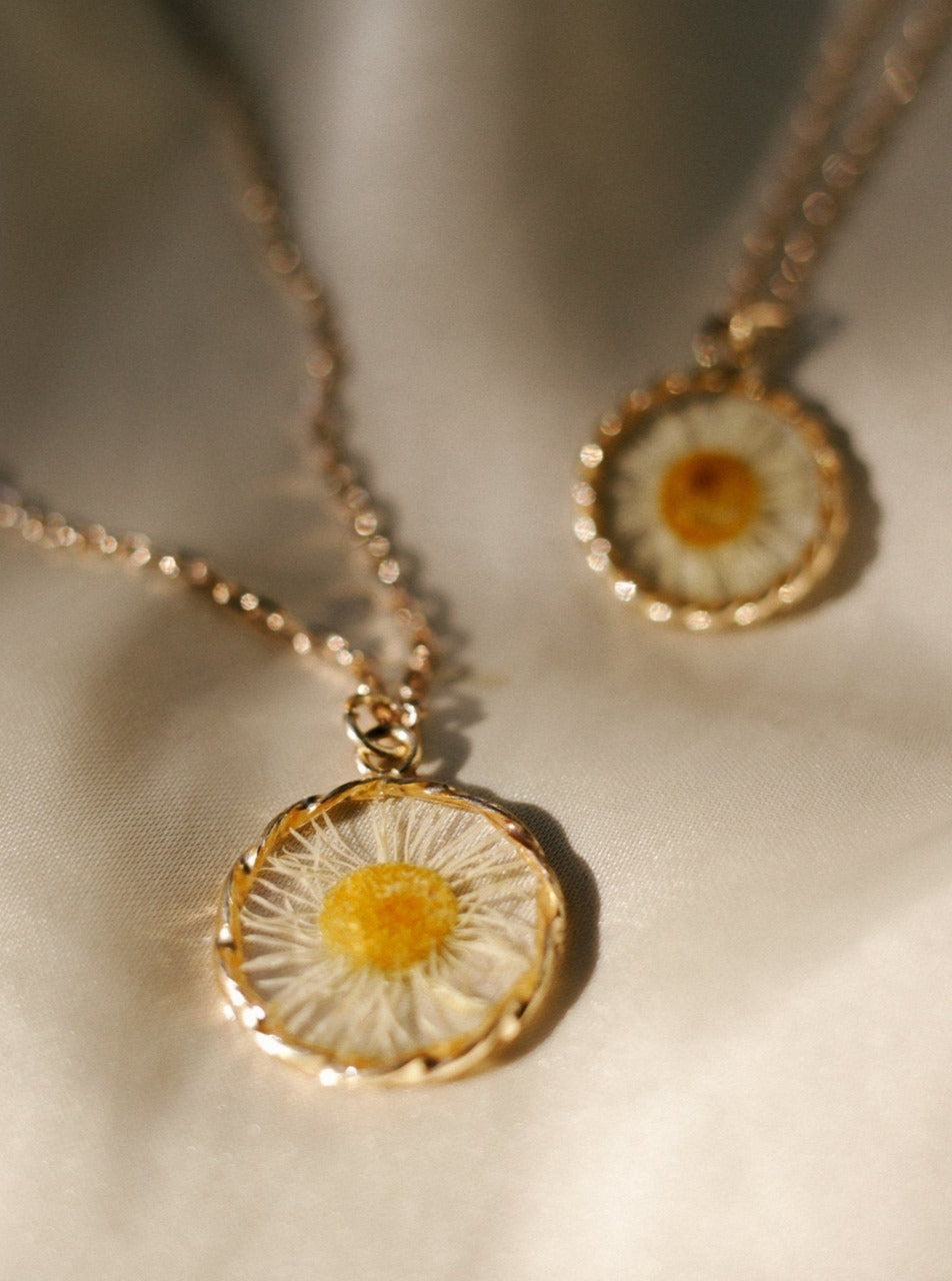 Real daisy flower necklace